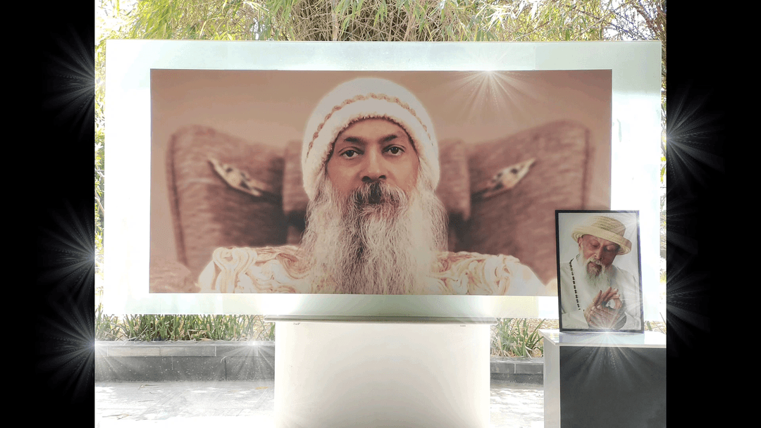 Glimpses of Zorba the Buddha Celebration, Dec. 30 – Jan. 1, 2023 at Osho Dham